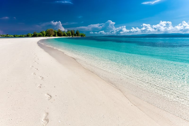 Exotic Beach